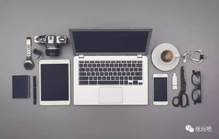 紙玩時(shí)刻 情人節(jié)生存指南